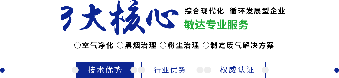 啊逼,逼好痒,快操我啊啊啊免费视频敏达环保科技（嘉兴）有限公司